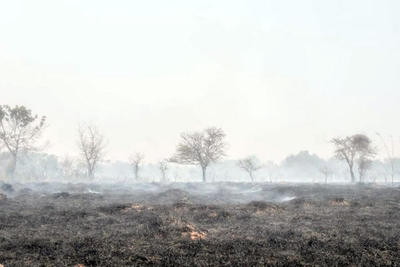 Investigarán si focos de incendio fueron provocados - Judiciales.net