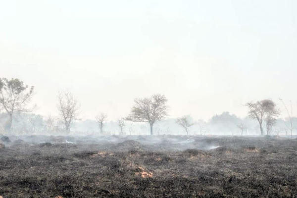 Investigarán si focos de incendio fueron provocados - Judiciales.net