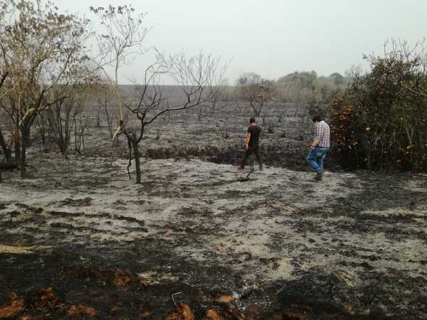 Crean equipos de trabajo fiscal a nivel nacional ante la propagación de incendios » Ñanduti