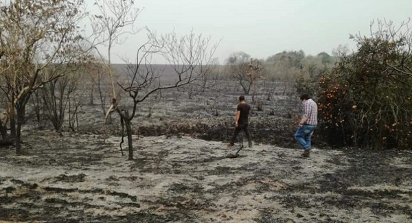 Conforman equipos de fiscales para investigar incendios