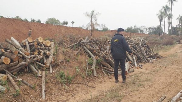 Coraje para el manejo medioambiental