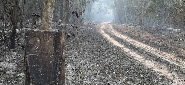Lanzan campaña para prevenir incendios forestales en la reserva del Mbaracayú - Nacionales - ABC Color