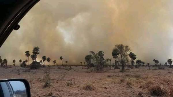 Terrible incendio forestal en General Bruguez deja varias familias afectadas