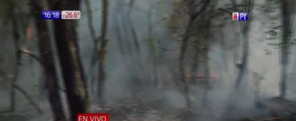 ¡El infierno en Gral. Bruguez! 50.000 hectáreas consumidas | Noticias Paraguay