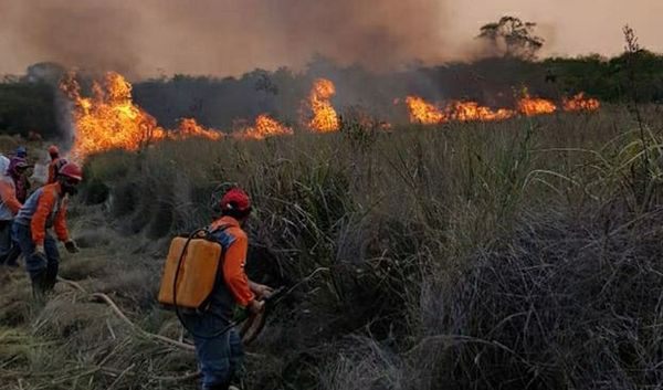 Asignan equipo fiscal para investigar incendios forestales - Nacionales - ABC Color