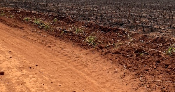 La Nación / Exigen respetar fallos judiciales sobre juicio de tierras en Corpus Christi, Canindeyú