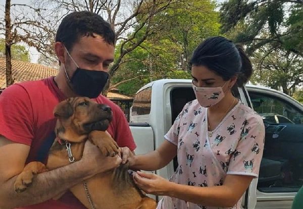 La rabia es mortal en humanos y hay que vacunar a las mascotas