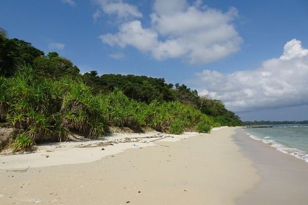 Gobierno brasileño revoca medidas de protección de zonas litorales