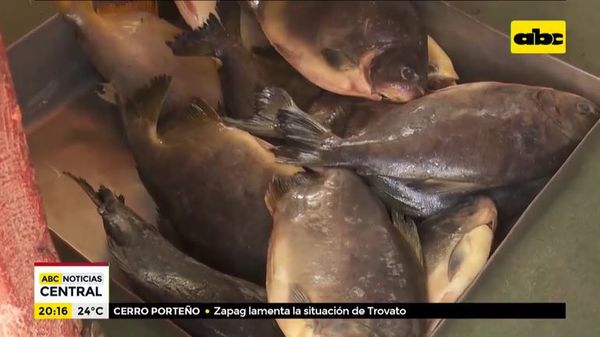 Pescadores de Piquete Cué resisten a la pandemia - ABC Noticias - ABC Color