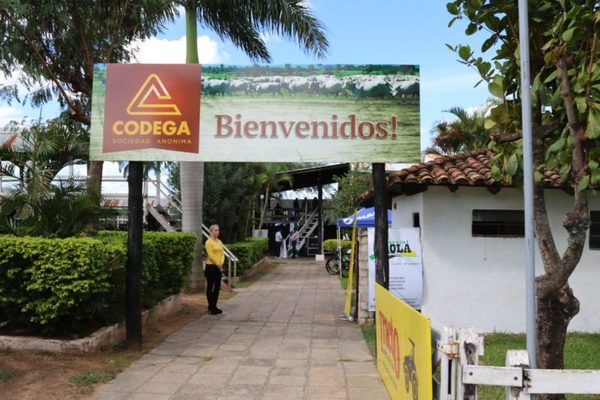 Mañana miércoles, Codega vende reproductores e invernada en su feria de Primavera