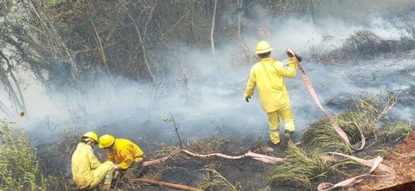 Humo generado por los incendios es un agravante en pandemia, dice neumólogo