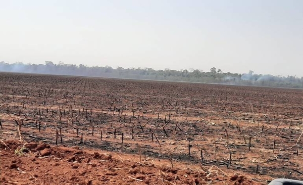 HOY / Piden acatar resoluciones judiciales sobre litigio de tierras en Corpus Christi, Canindeyú.