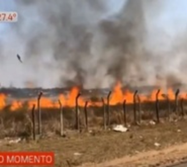 Sofocan incendio en predio de aeropuerto Silvio Pettirossi - Paraguay.com