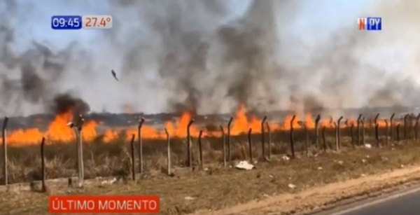 Sofocan incendio en predio de aeropuerto Silvio Pettirossi – Prensa 5