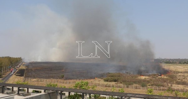 La Nación / Nuevo incendio afectó en zona del aeropuerto