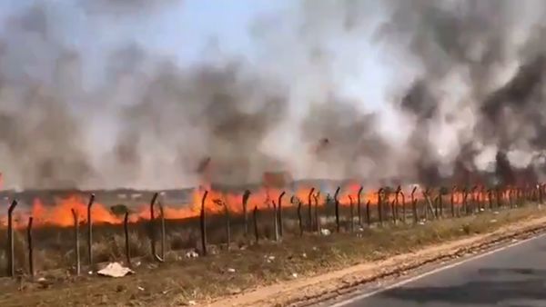 Se registró incendio en pastizal del aeropuerto - El Trueno
