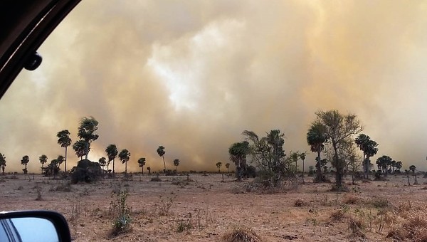 ARP condena quema intencional de campos y pide extremar cuidados para evitar incendios accidentales - La Mira Digital