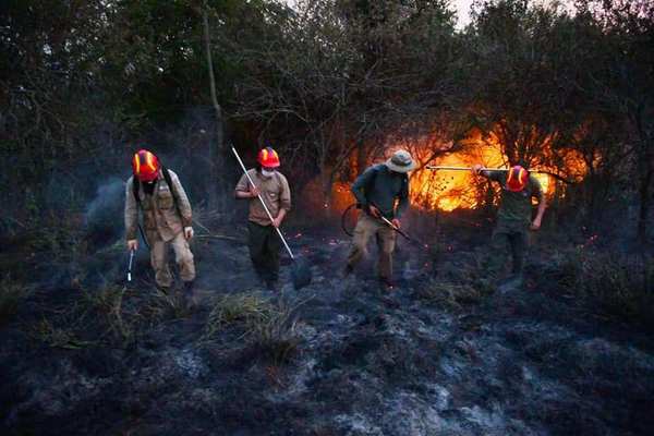 Diputados plantean aporte "especial" de G 5.000 millones para los bomberos voluntarios - ADN Paraguayo