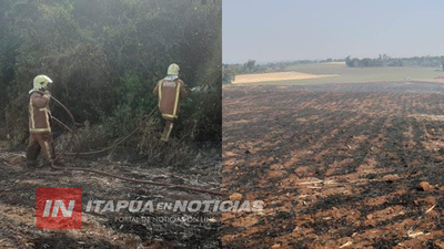 CONTINÚAN LOS INCENDIOS FORESTALES EN ITAPÚA
