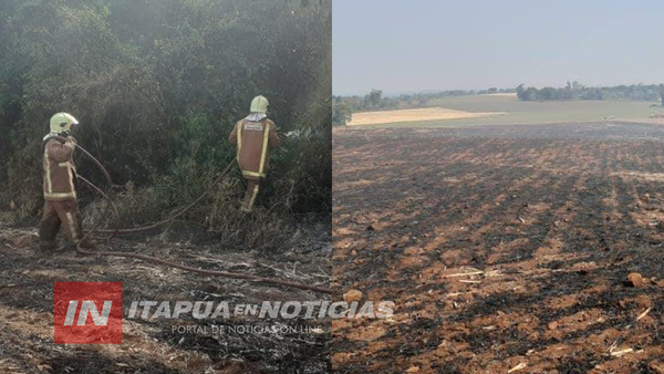 CONTINÚAN LOS INCENDIOS FORESTALES EN ITAPÚA