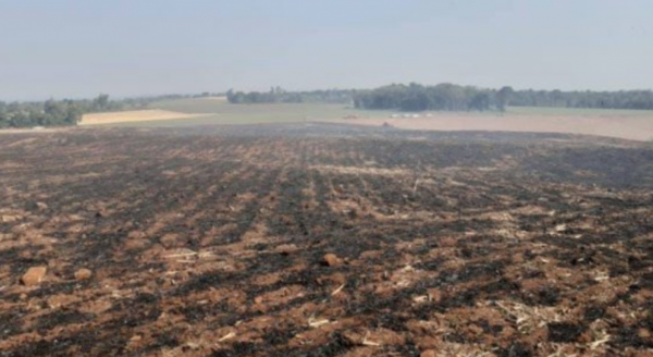 HOY / Grandes plantaciones en Itapúa sufren el rigor de los incendios