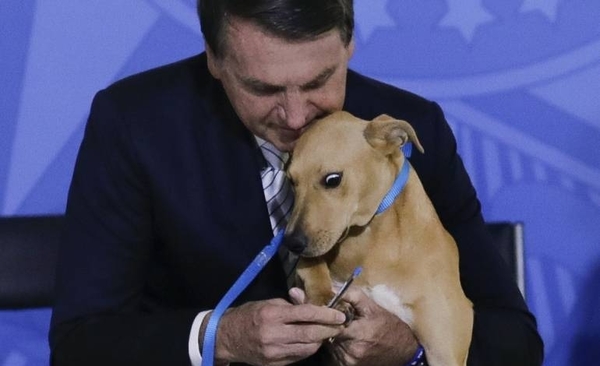 HOY / Bolsonaro sanciona ley que endurece penas para el maltrato a perros y gatos