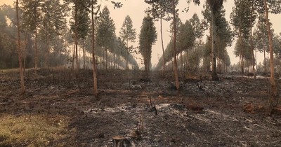 La Nación / Ayudan a apagar incendio en reserva