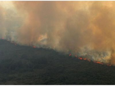 La UE pide a Brasil que genere confianza en el tema ambiental