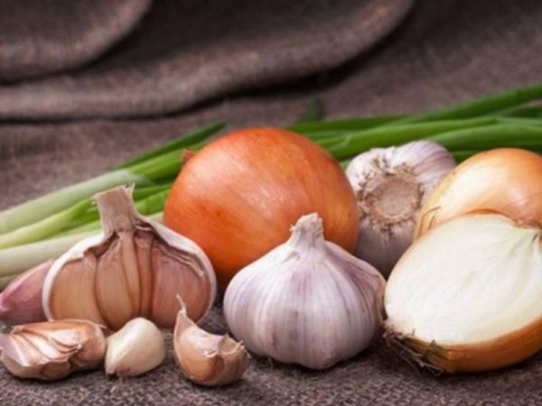 Sugerencias de alimentos para mantener el colágeno