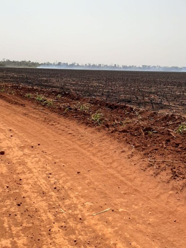 Exigen acatar decisiones judiciales sobre juicio de tierras en Canindeyú