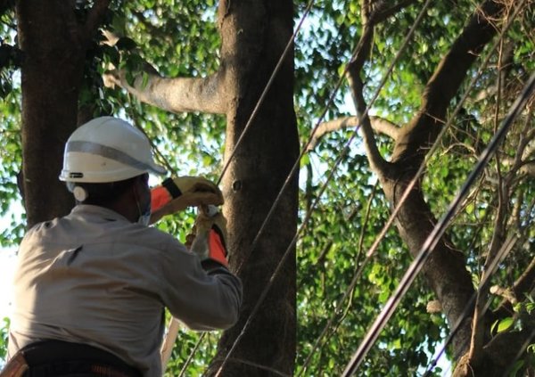 Cortes de energía en verano: "vamos a pasar mejor que el año pasado" · Radio Monumental 1080 AM