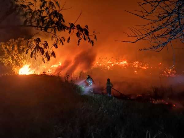 Incendios son provocados por personas que quieren seguir invadiendo zona de Costanera, asegura director