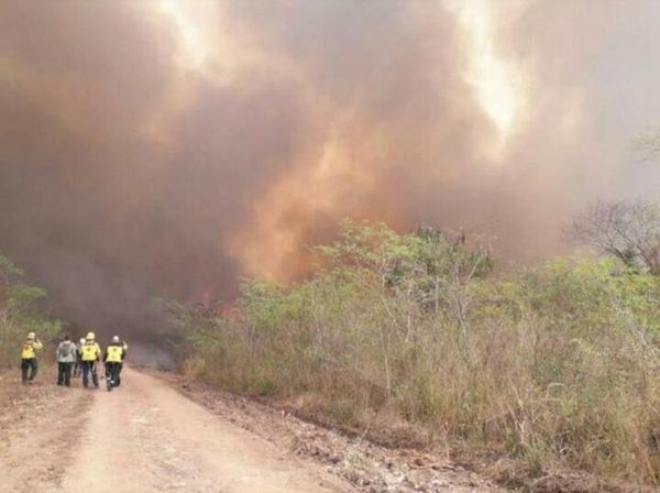 Focos de incendios, sequía y altas temperaturas, el fuego no da tregua en Paraguay