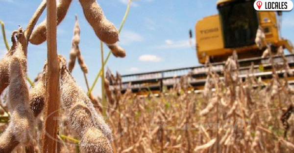 Campesinos piden asistencia al Gobierno para evitar pérdidas de cultivos