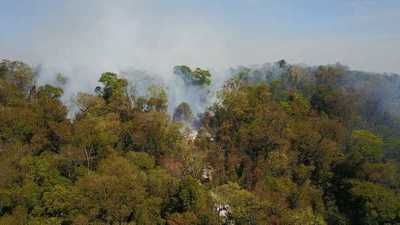 Angustia en el sector de la madera, ante hectáreas de plantaciones incendiadas e invasiones de tierra - Megacadena — Últimas Noticias de Paraguay