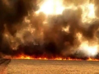 Región Oriental es la más afectada por los incendios este año