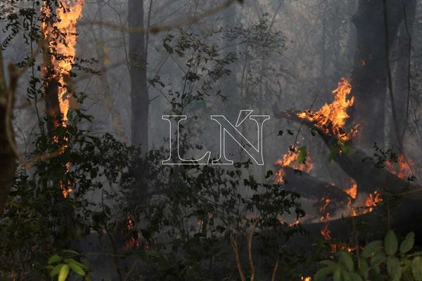Infona elaborará informe sobre áreas afectadas por incendios