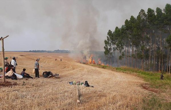 Madereros repudian invasión y hostigamiento en Hernandarias - ABC en el Este - ABC Color