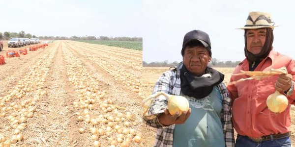 EL CHACO PARAGUAYO SIGUE AMPLIANDO Y DIVERSIFICANDO SU PRODUCCIÓN AGRÍCOLA