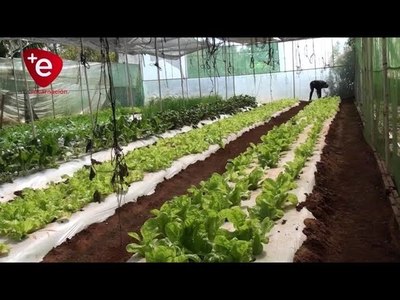 MUNICIPIO ENCARNACENO CONSIGNA CON ASISTENCIA A PEQUEÑOS PRODUCTORES