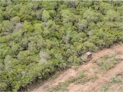 Autos de lujo usan cuero que es producto de la deforestación del Chaco