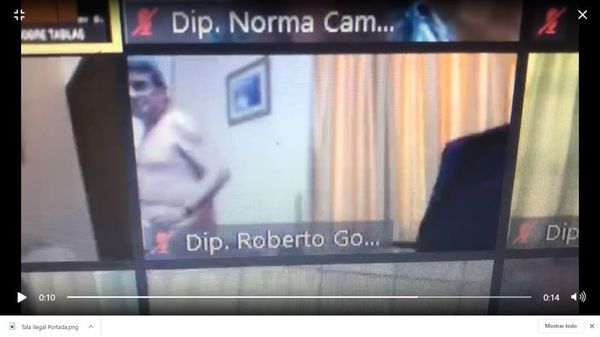 Diputado Roberto González sesionó “al desnudo” y se hizo viral - Nacionales - ABC Color