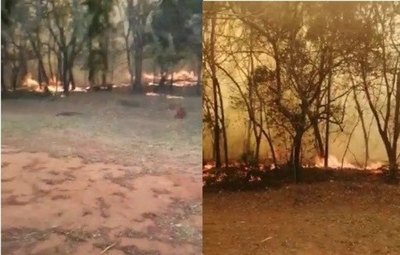 Crónica / (Video) Fuego devora un cerro en Areguá