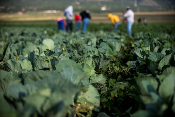 México con superávit primario de 7.059 millones de dólares a agosto del 2020 - MarketData