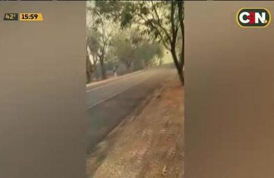 Aregua: Incendio en reserva natural Cerro Koi - C9N