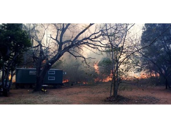 Arde parte del Cerro Kõi y se avizoran días complicados