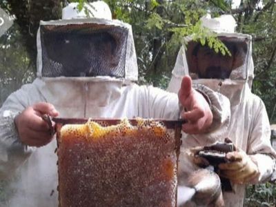 Un floreciente emprendimiento impulsado por la unión familiar