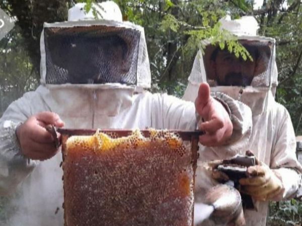 Un floreciente emprendimiento impulsado por la unión familiar