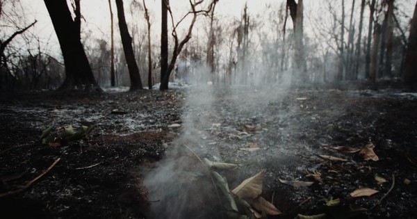 La Nación / Gran incendio se registró en Cerro Kõi de Areguá