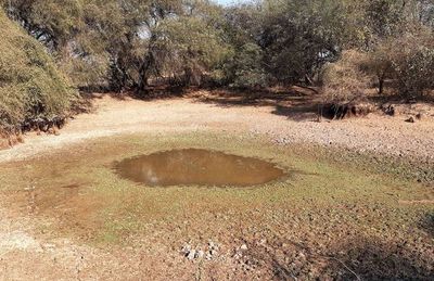 Sequía golpea cada vez con mayor fuerza al departamento de Boquerón - Nacionales - ABC Color